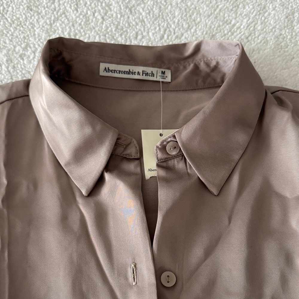 Abercrombie & Fitch Taupe Button Down Shirt - Picture 3 of 5